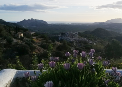 Vistas a la montaña